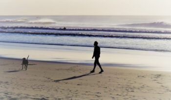 Mann mit Hund geht am Strand entlang