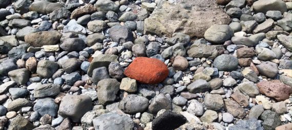 Ein roter Stein liegt inmitten grauer Steine.