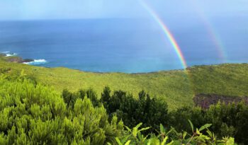 Ein doppelter Regenbogen ragt aus einem Wald am Meer.