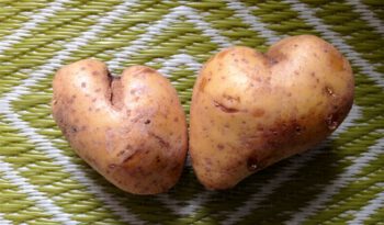 Zwei Kartoffeln in Herzform liegen auf einer Unterlage.